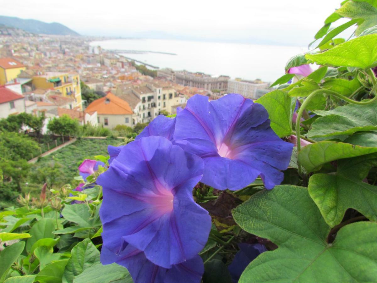 Villa Al Nove E Trequarti Salerno Exterior foto